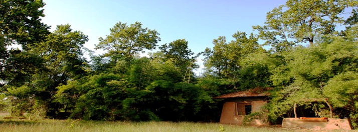 715/Taj Mahua Kothi Bandhavgarh National Park - Umaria 02.jpg